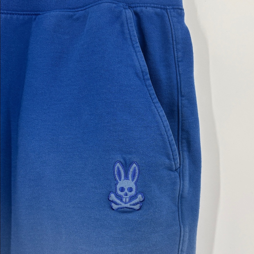 Psycho Bunny Men’s XXL Shorts - Picture 2 of 11